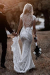 Champagne Lining Mermaid Lace Wedding Dresses DW251