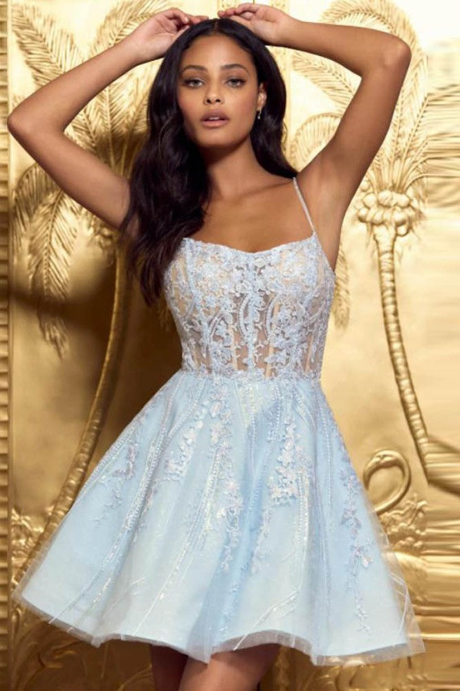 Homecoming Dress Sexy Illusion Spaghetti Strap Cocktail Dresses TANYA BRIDAL Homecoming Dress Sexy Illusion Spaghetti Strap Cocktail Dresses TANYA BRIDAL
