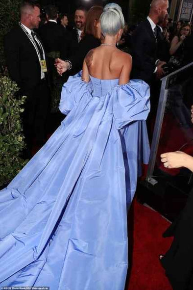 #DZ9435 Taffeta Long Evening Cape With Sleeves