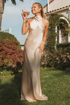 #DZ9415 Champagne Long Bridesmaid Dress Halter Neck Backless