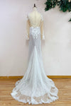 Champagne Lining Mermaid Lace Wedding Dresses DW251