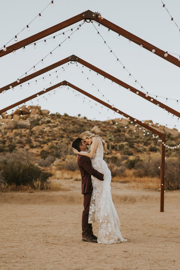 Dreamy Lace Wedding Dresses Sexy Backless A Line Bohemian Bridal Gowns ZW313