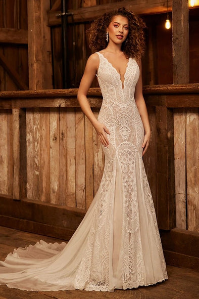 Unique Lace Mermaid Wedding Dresses V-Neck Backless Chic Noivas ZW818