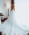 Long Train Backless Lace Tulle Wedding Dress TB1423