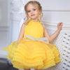 Charming Flowers Girls Dresses Tulle Pleat