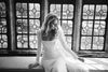 Soft Satin Elegant Long Sleeve Bridal Gowns Simple Engagement Wedding Noivas ZW407