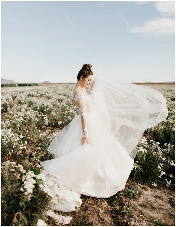 Long Sleeve Lace Wedding Dresses V-Neck ZW465