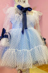 Polka-dot Tulle Flower Girl Dresses Illusion Long Sleeves