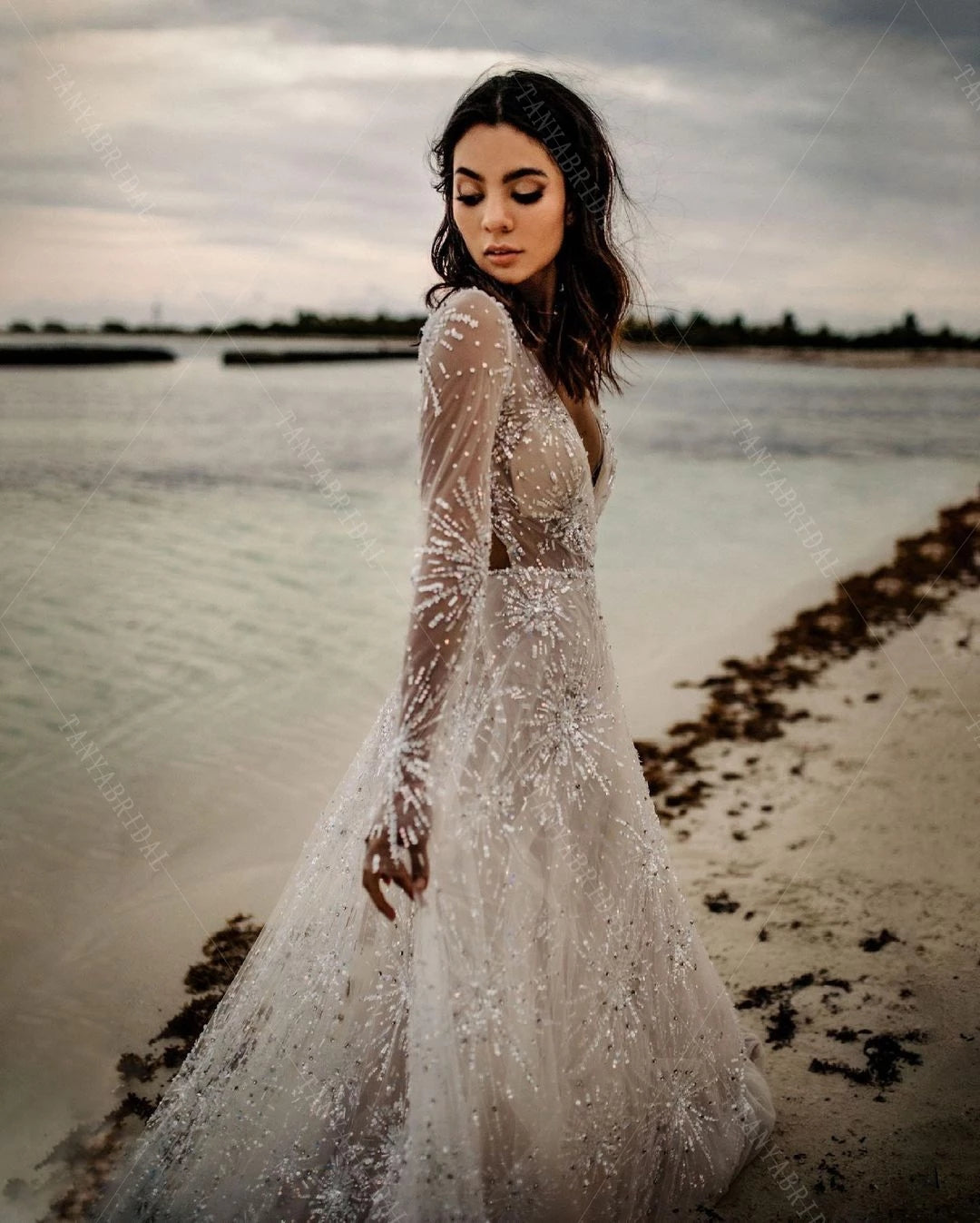 Wedding Dress Long Sleeve Sparkly Gown Sparkly Fireworks Lace