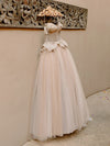Blush Champagne Princess Wedding Dresses Vestido De noivas ZW456