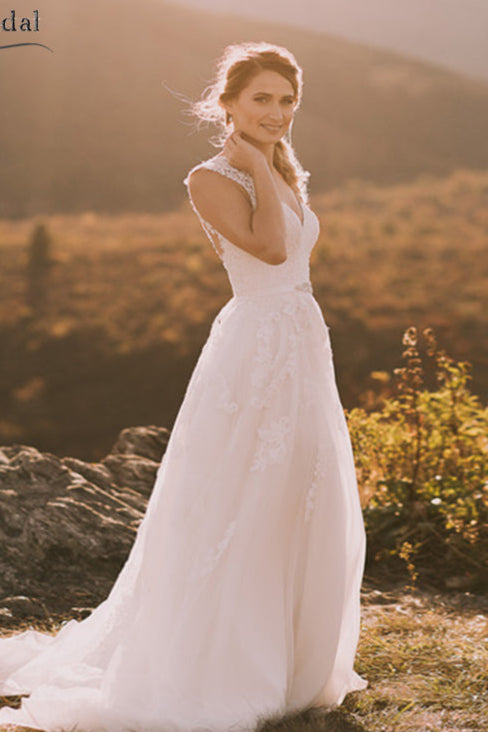 V-Neck Lace Wedding Dresses Sheer Back A Line Bridal Dresses DW217