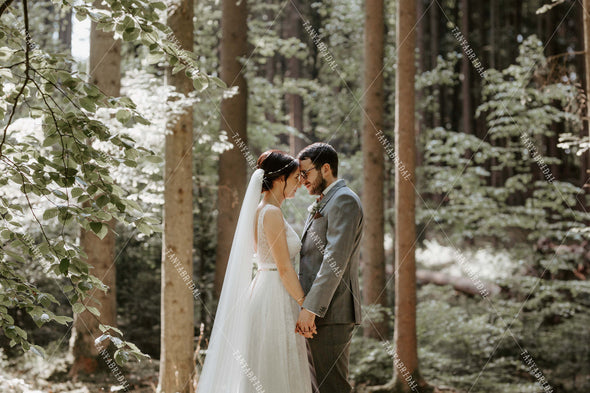 V-Neck Lace Wedding Dress A Line Bridal Gowns With Gold Belt Vestido d TANYA BRIDAL V-Neck Lace Wedding Dress A Line Bridal Gowns With Gold Belt Vestido d TANYA BRIDAL